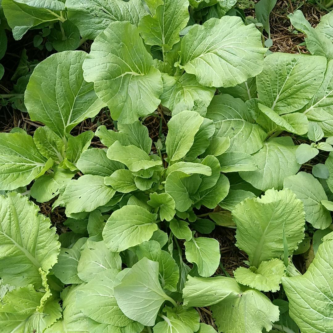 入了心的人💞一生牵挂