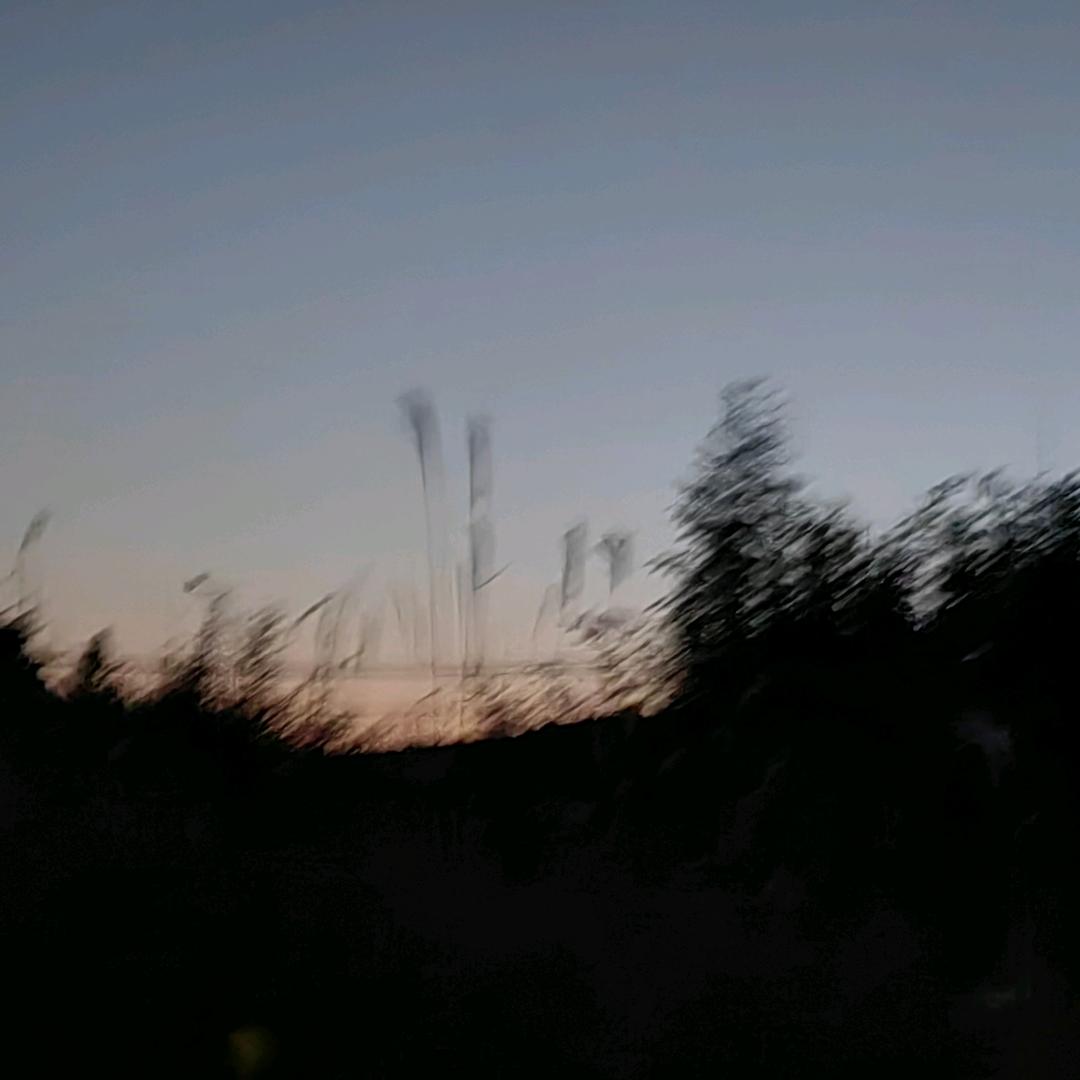 琪艺优购｛橱窗好物｝