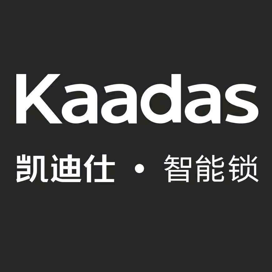 通化凯迪仕智能锁