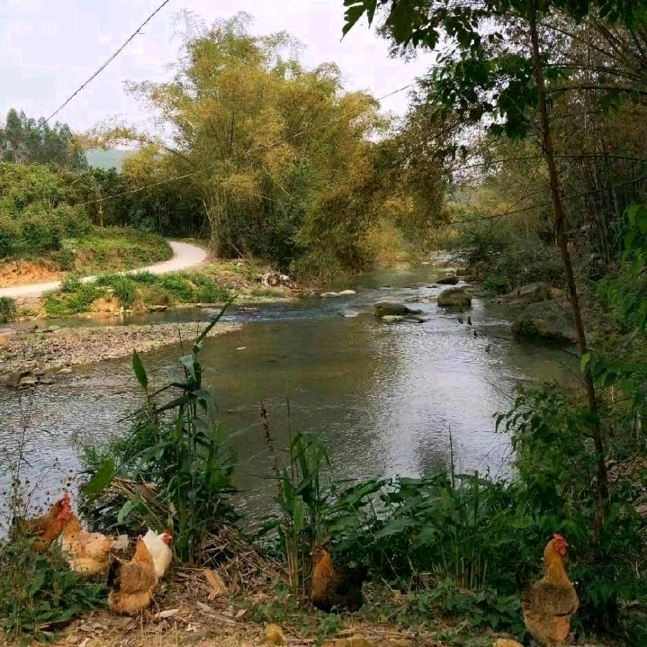 抖音记录每一天