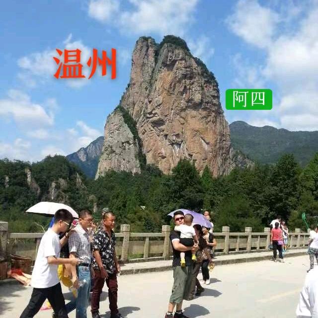 阿四：667温州
