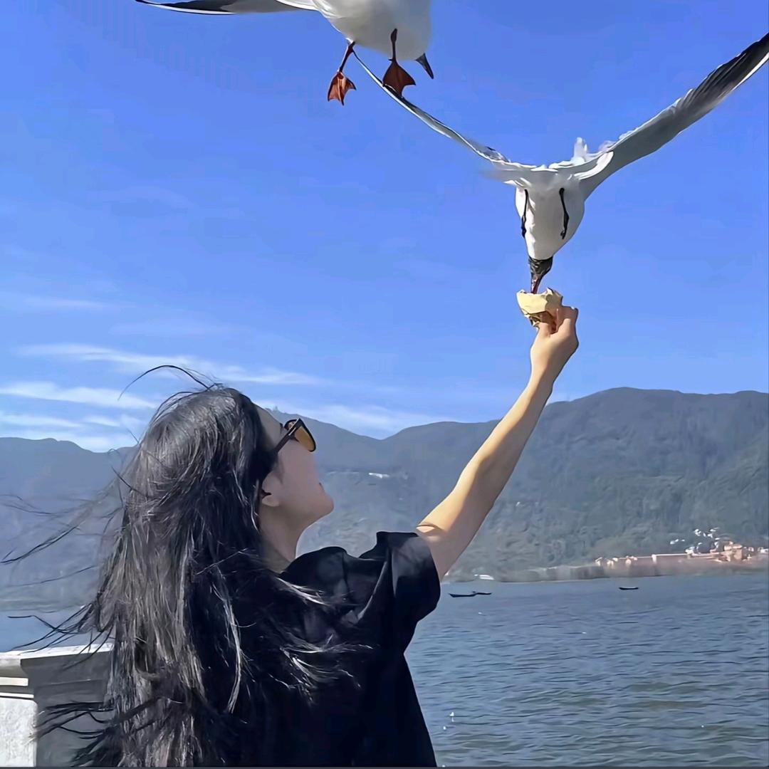 晕车的猫₍^..^₎⟆