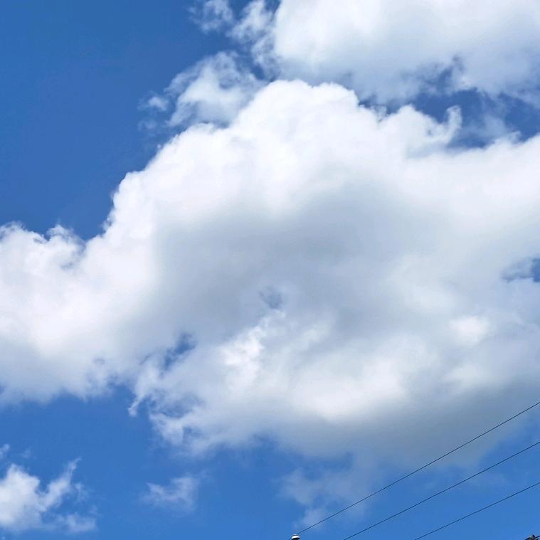 小蜜柚儿童工厂店