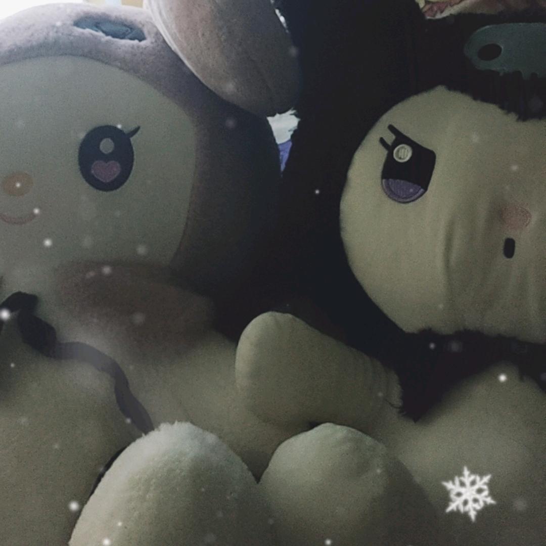 愿违
