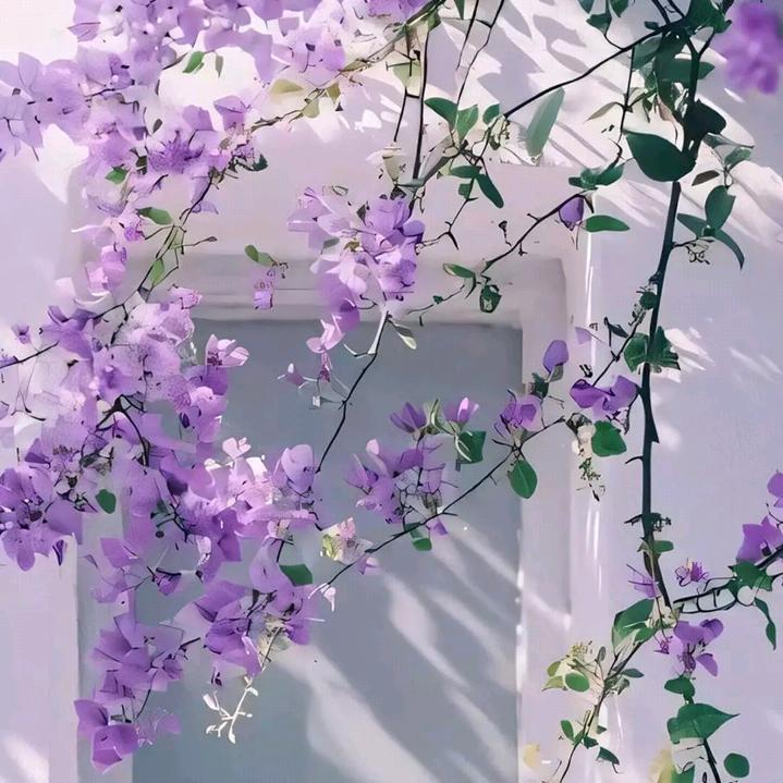 ღ᭄别碰💔我心꧔ꦿ᭄ 🥀