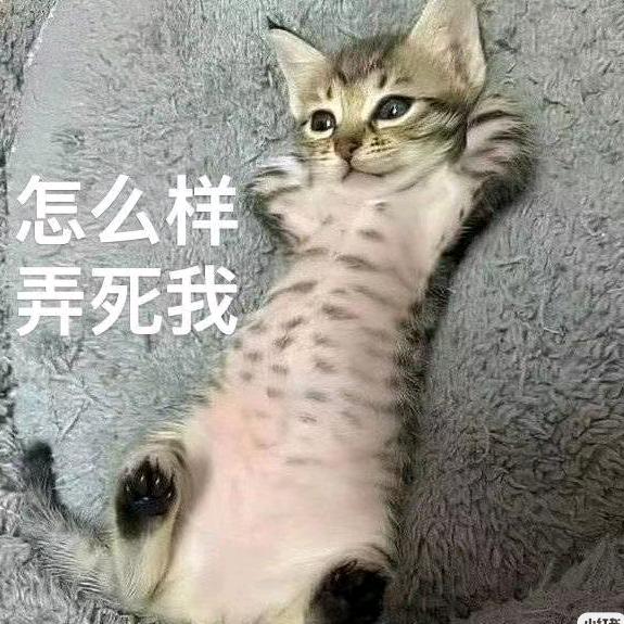 AA🌸