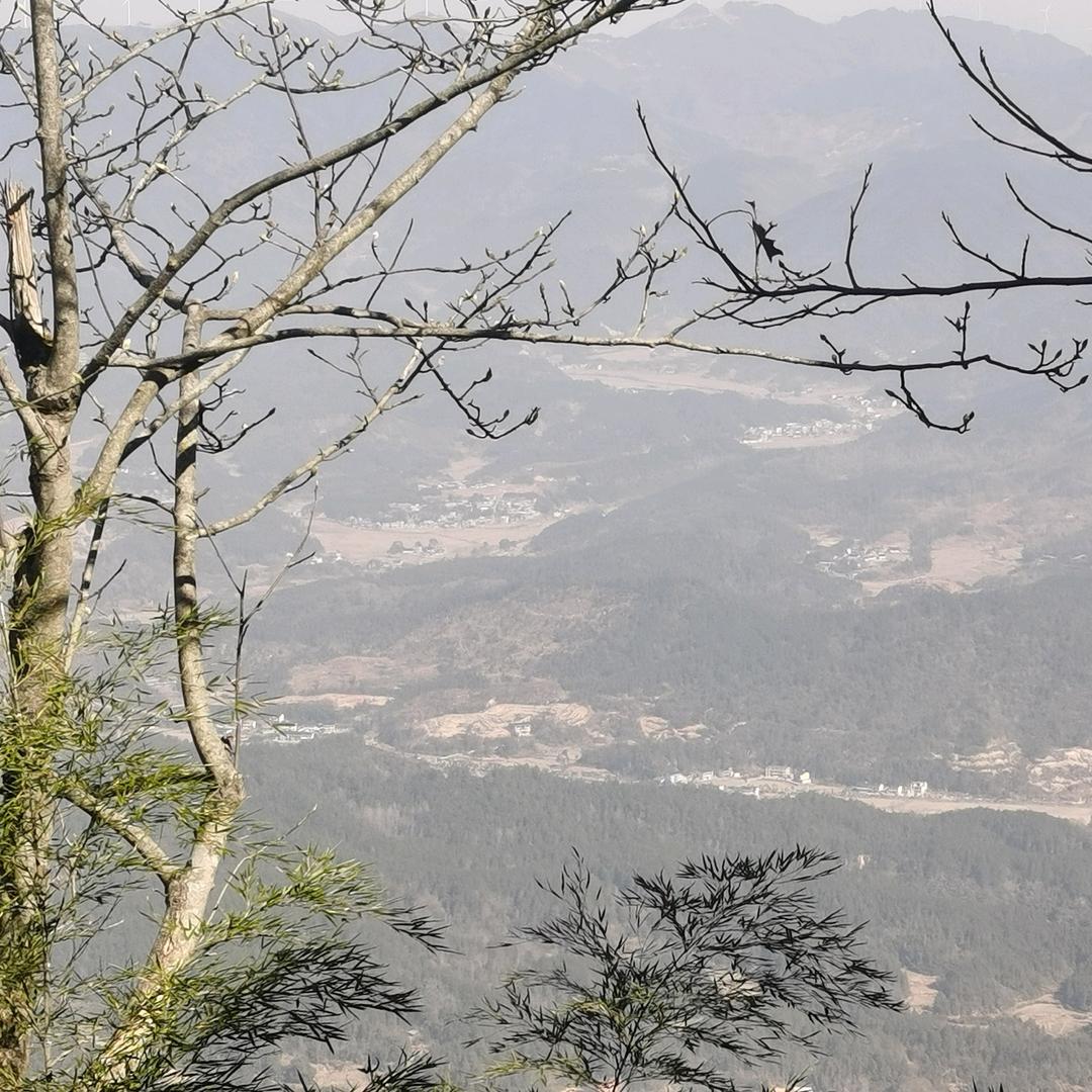 华东江哥¹⁰³⁰