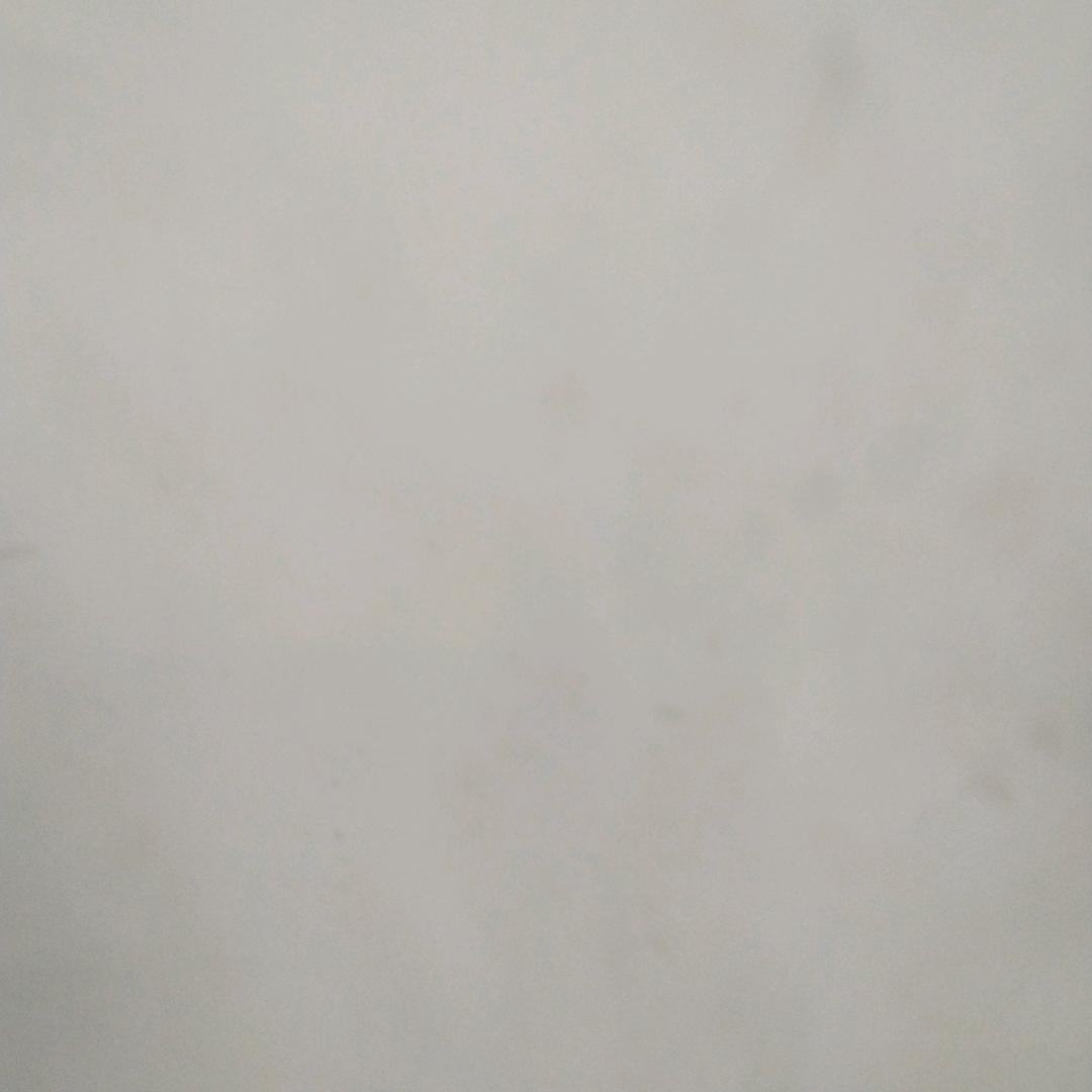 小哥解说