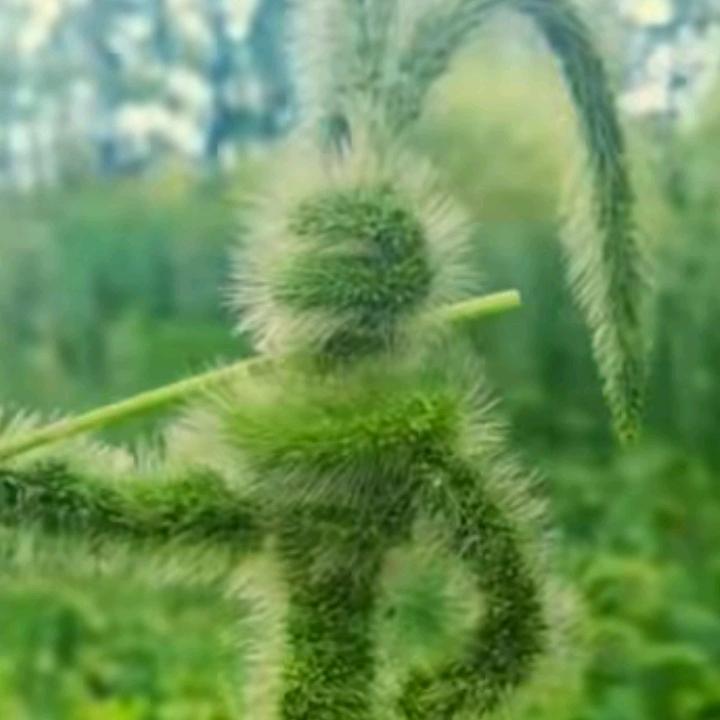 前程🧚‍♂️似锦