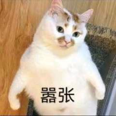 我才不是大魔王