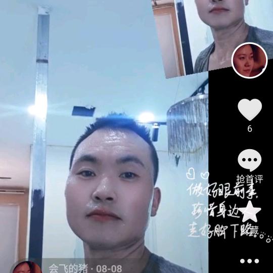 会飞的猪爱唱歌