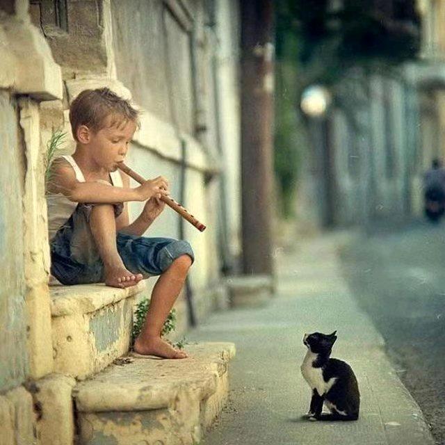 中山江门稀有金属回收