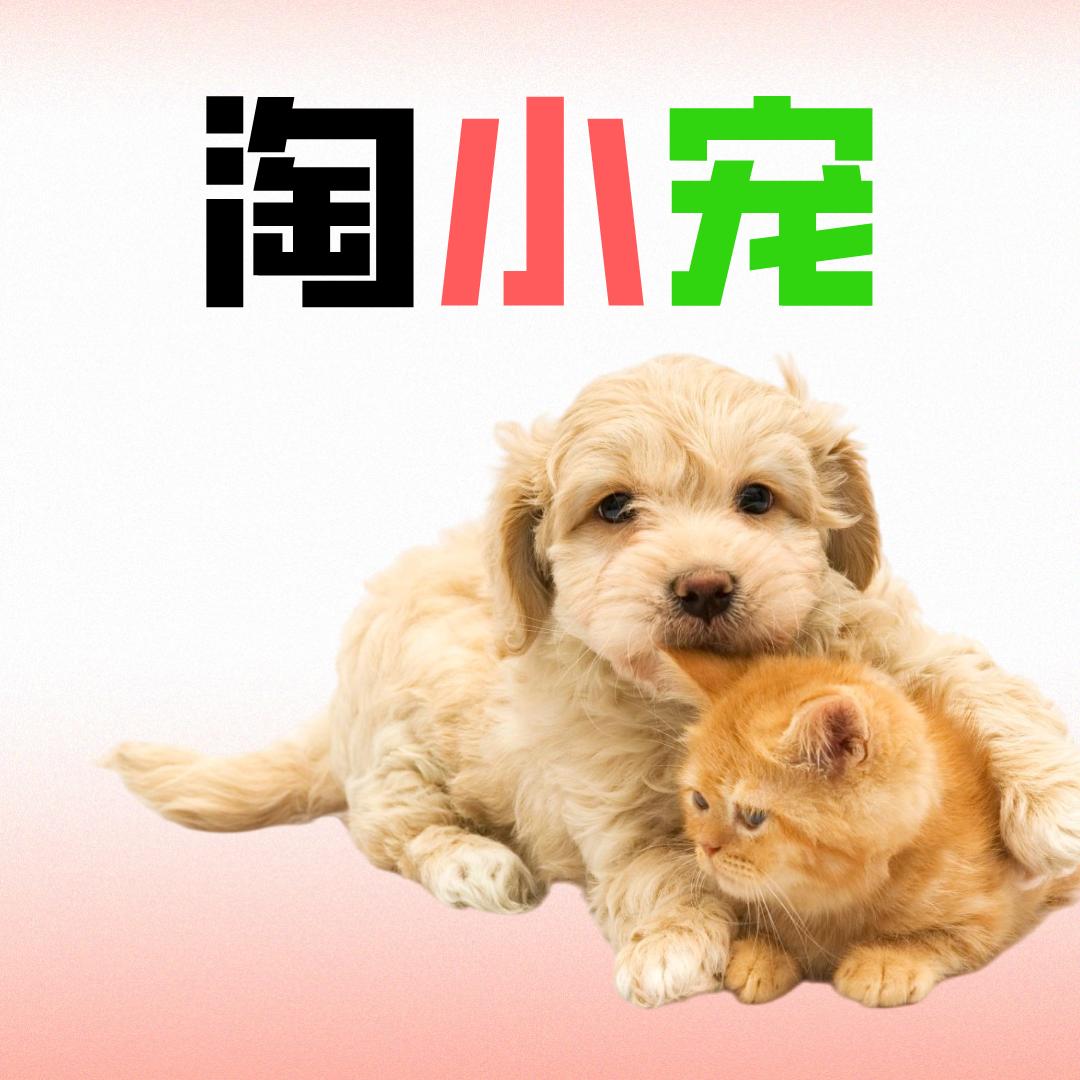 淘小宠宠物用品工厂店