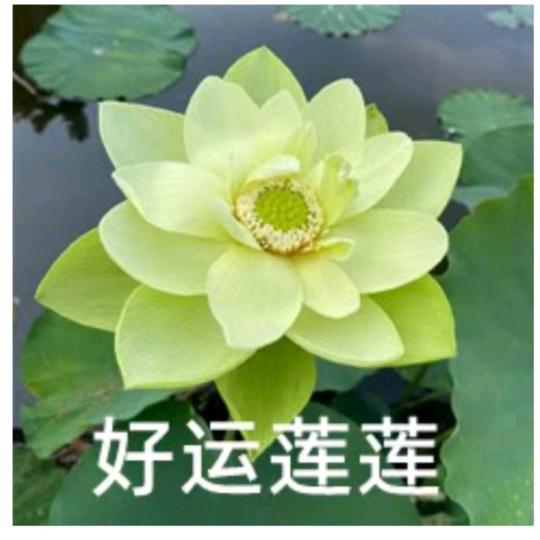 繁星点点
