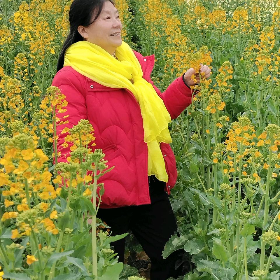 随心而安