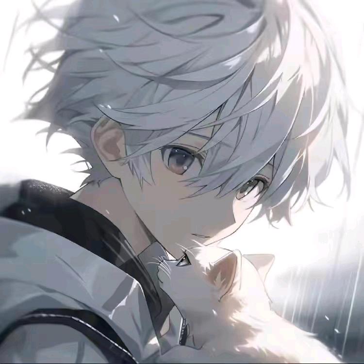 花燃(百评1.35血书猫)