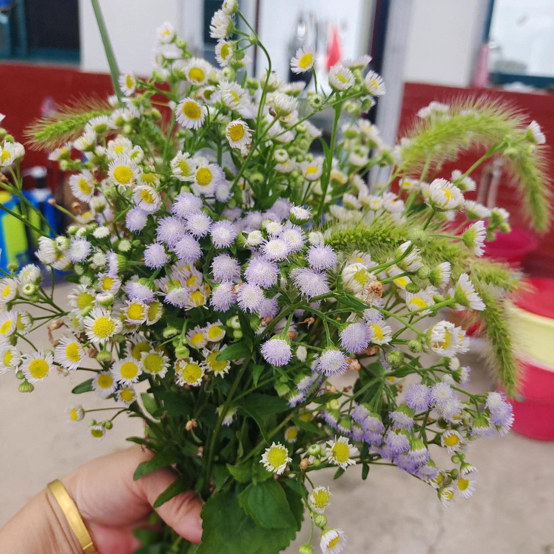 两个孙女的奶奶