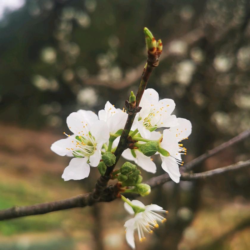 恰好风扬起了帆