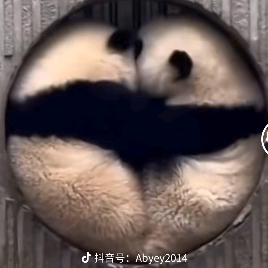 章奎哥玩王者