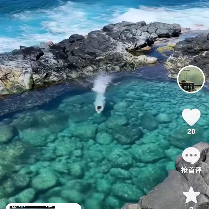 追风哥