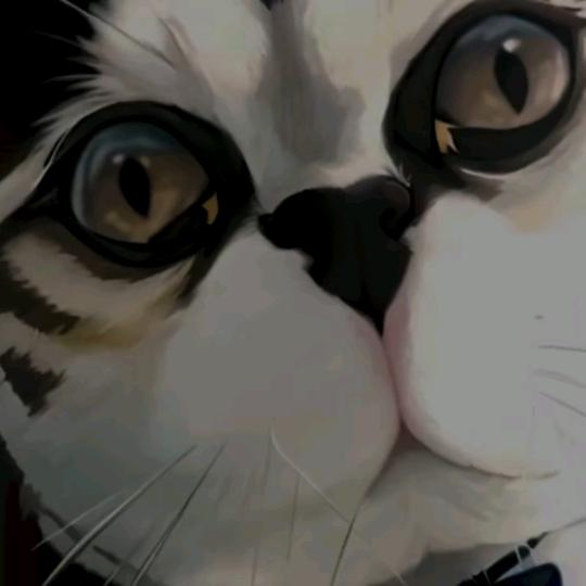 途陌