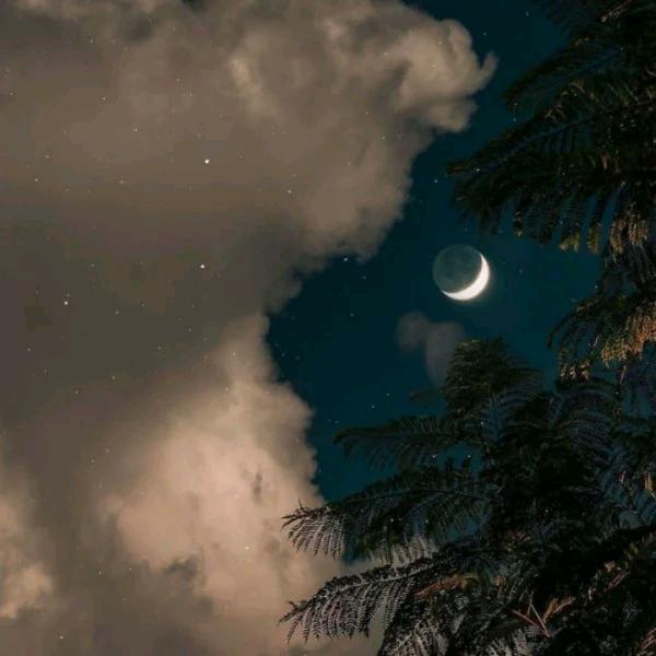 丢了一个月亮。