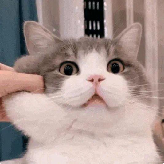 @@幸好遇见你
