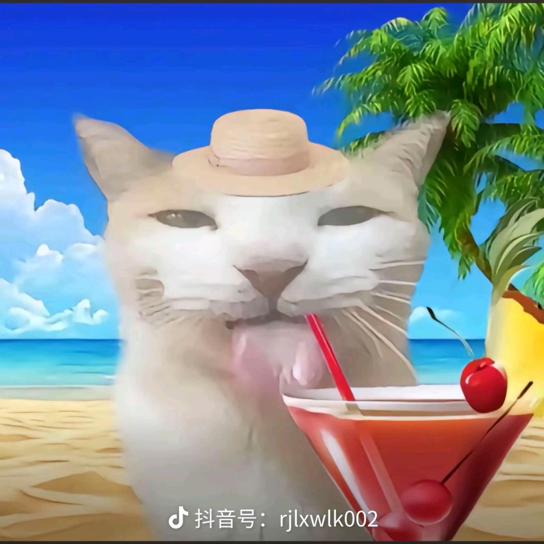 叽叽糕糕