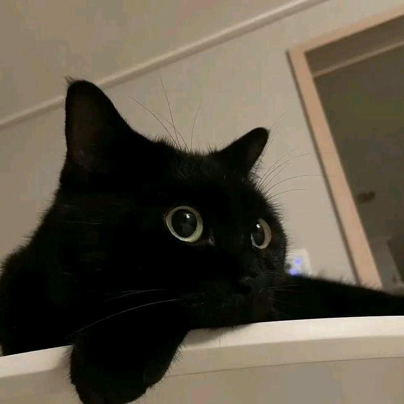 💘