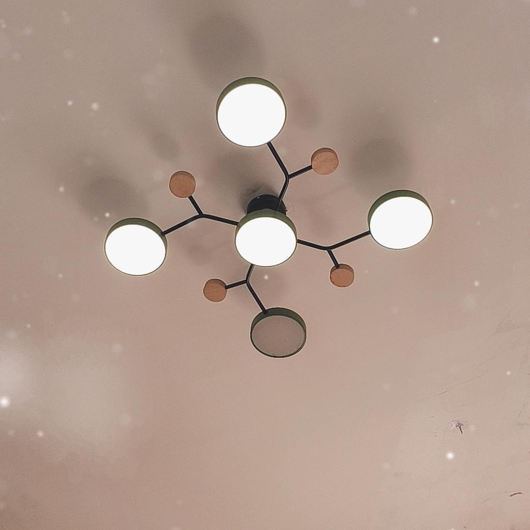 珍惜一生。🍓🌹👑