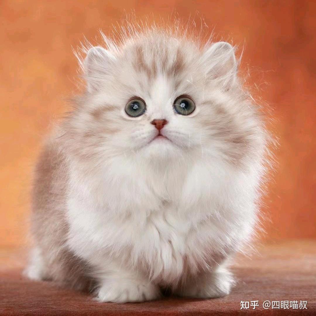 铭~邶