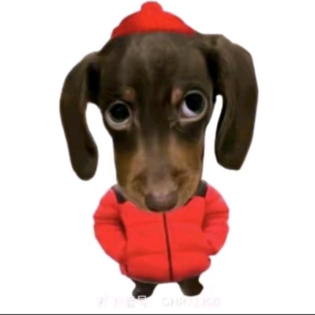 斯多葛主义战士