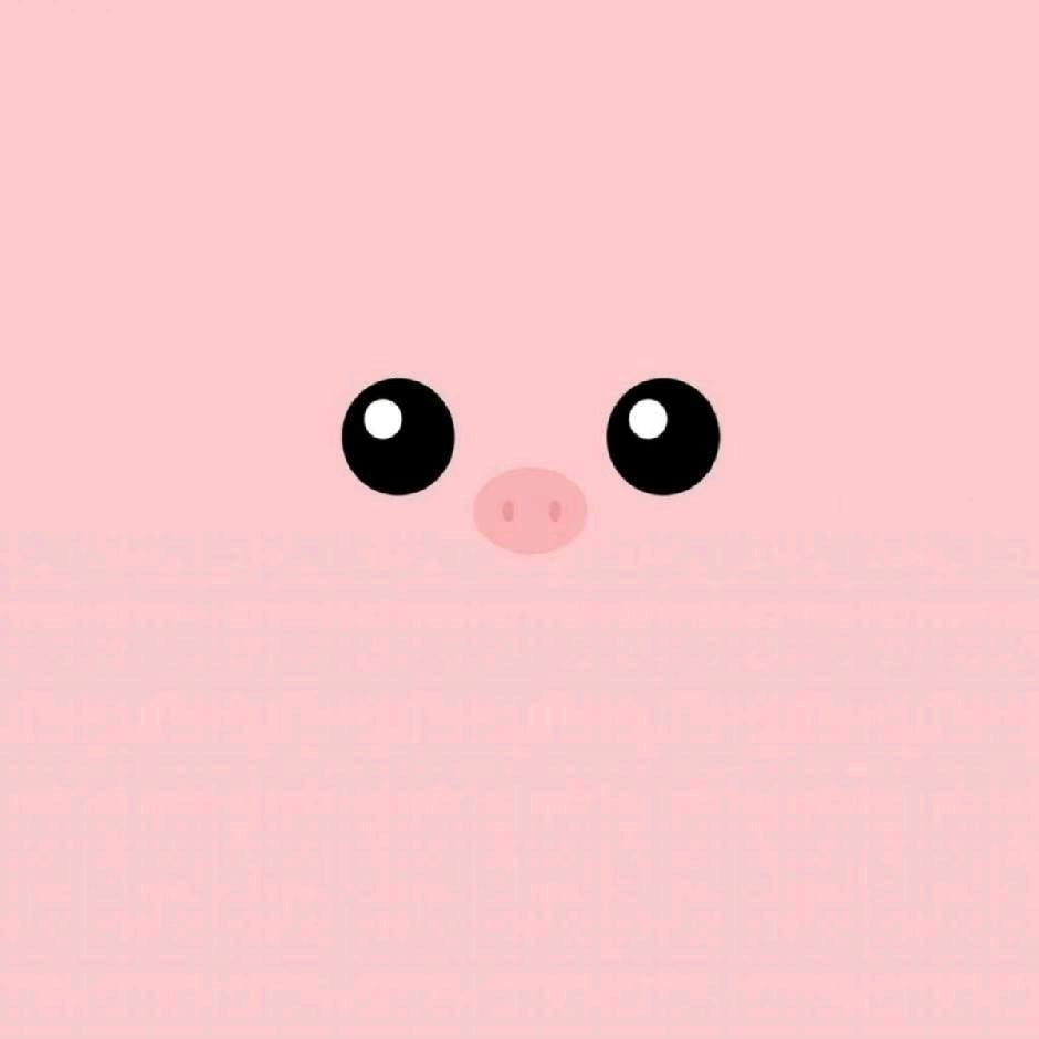 小小玉