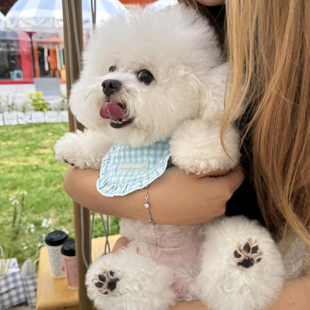 C₄H₈辰（捡脂版）