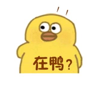 提瓦特侦查员