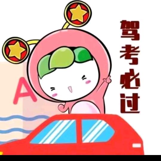驾考理论娜姐