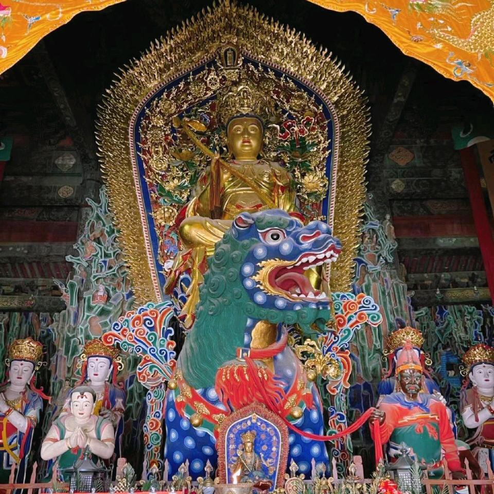 观影（高寿）