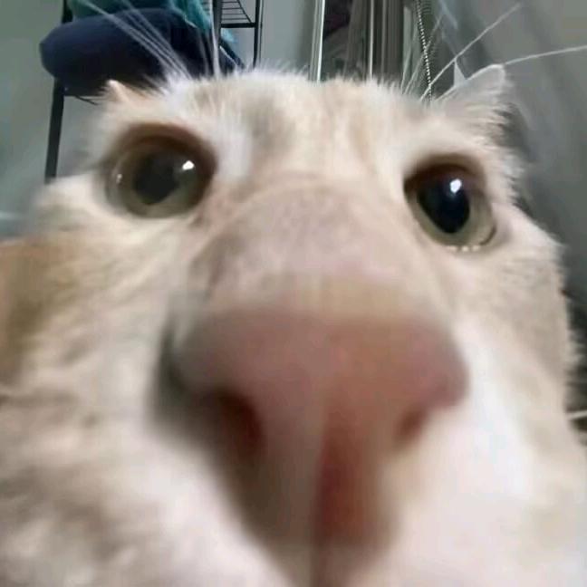 人