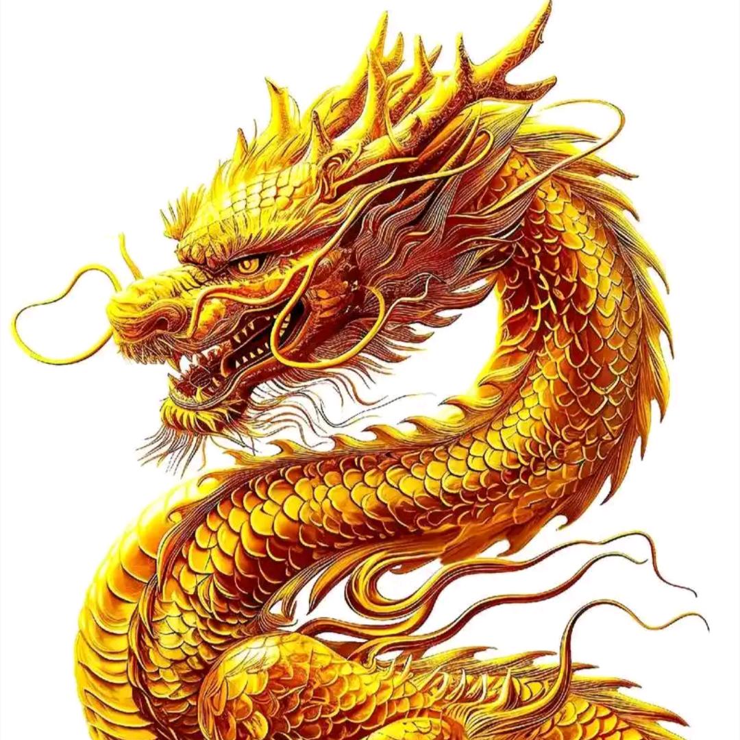【龙】行天下