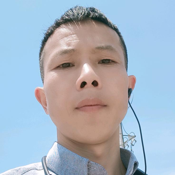 雁南飞