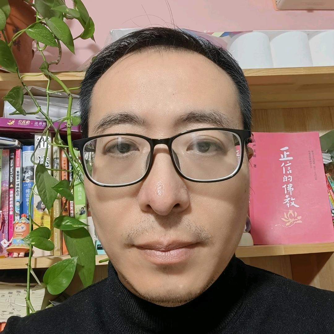 石中花