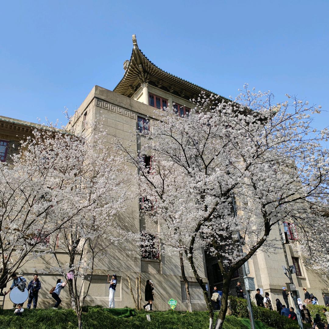 雷哥数学