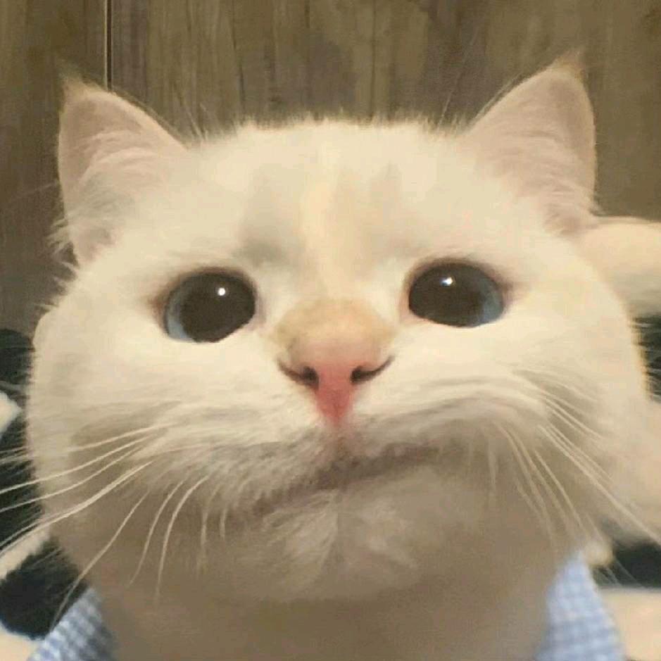 小小火鸡面