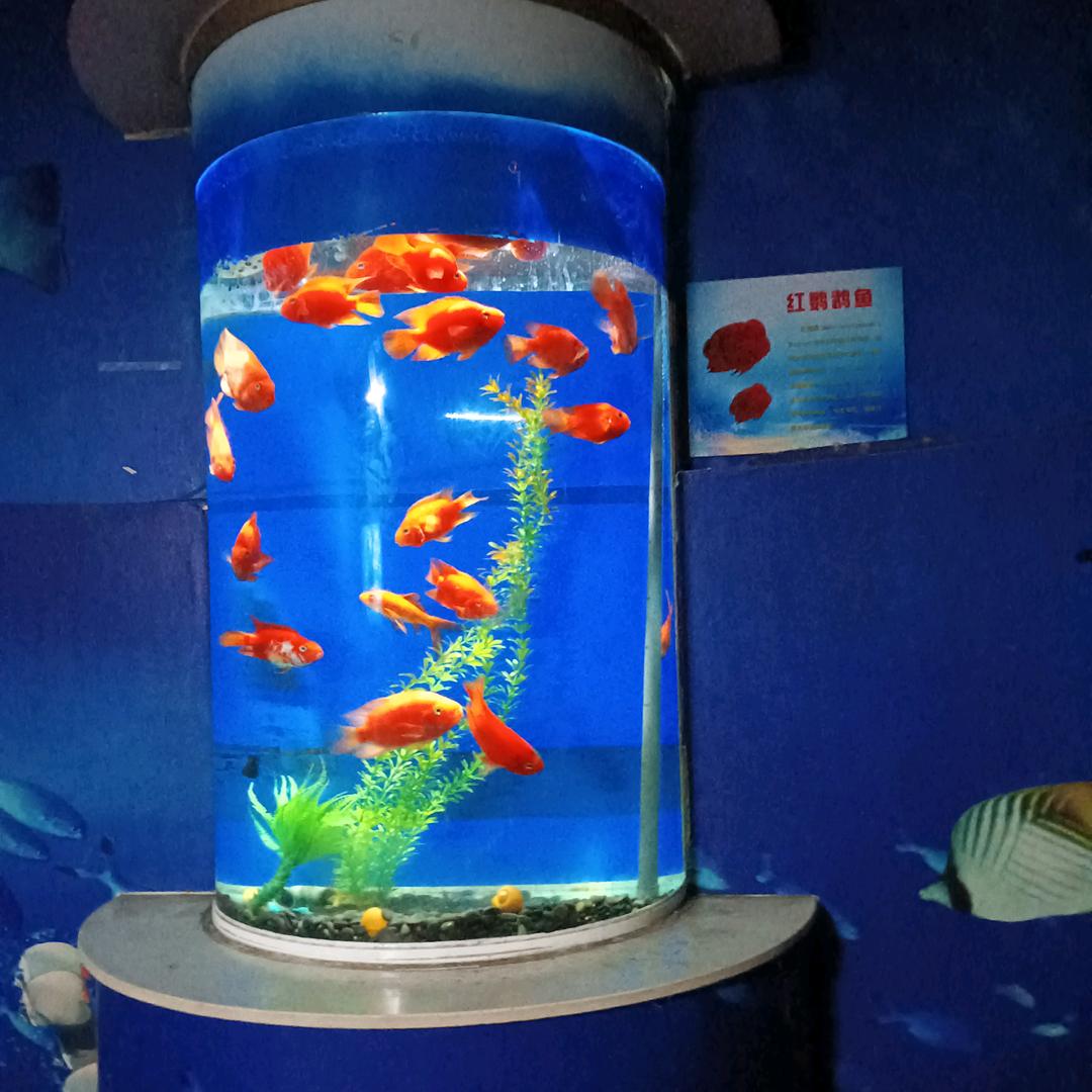 闫保侠
