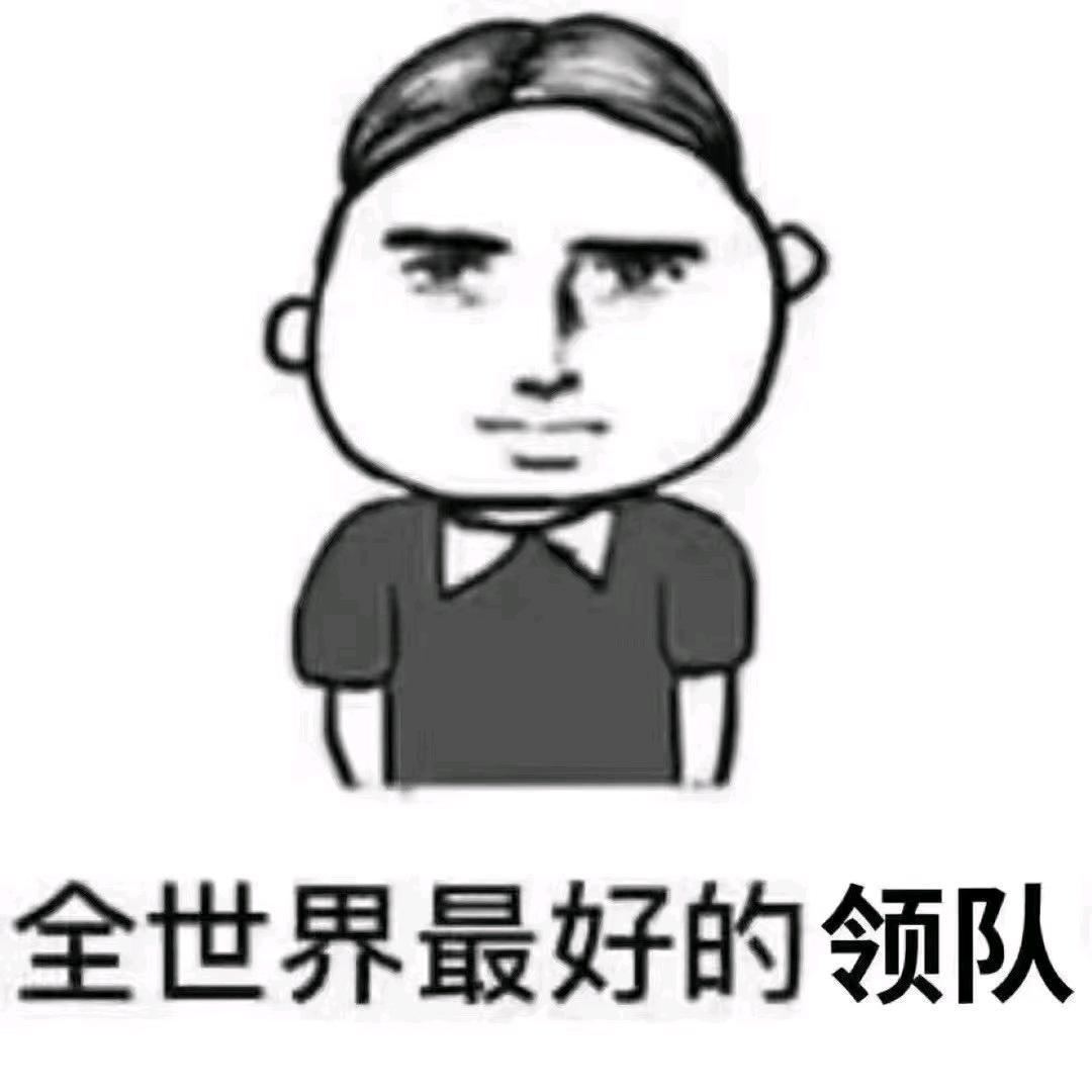 啊峰队长