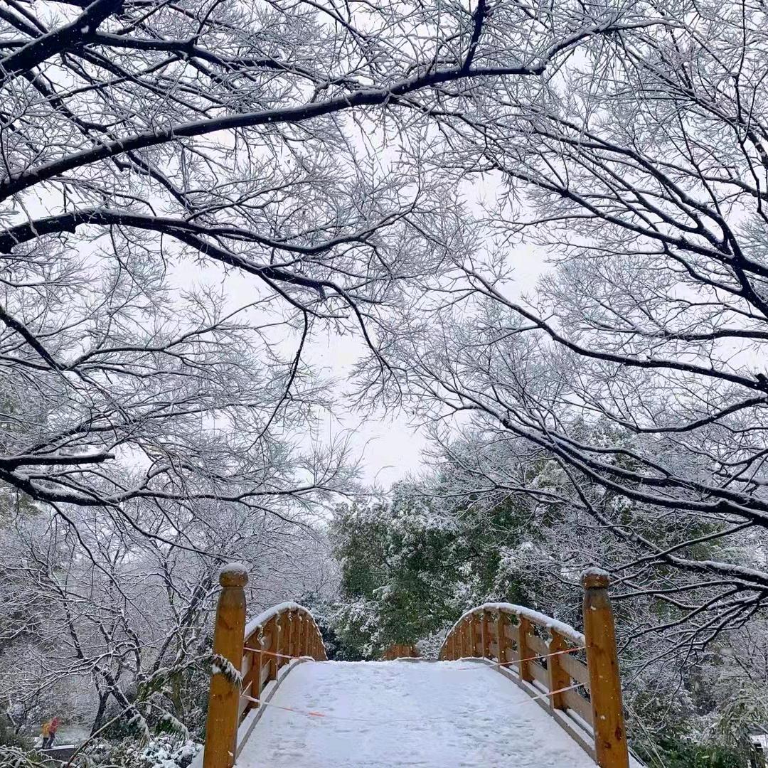 ℳℒℴѵℯ·刘໊ོ⁵²⁰