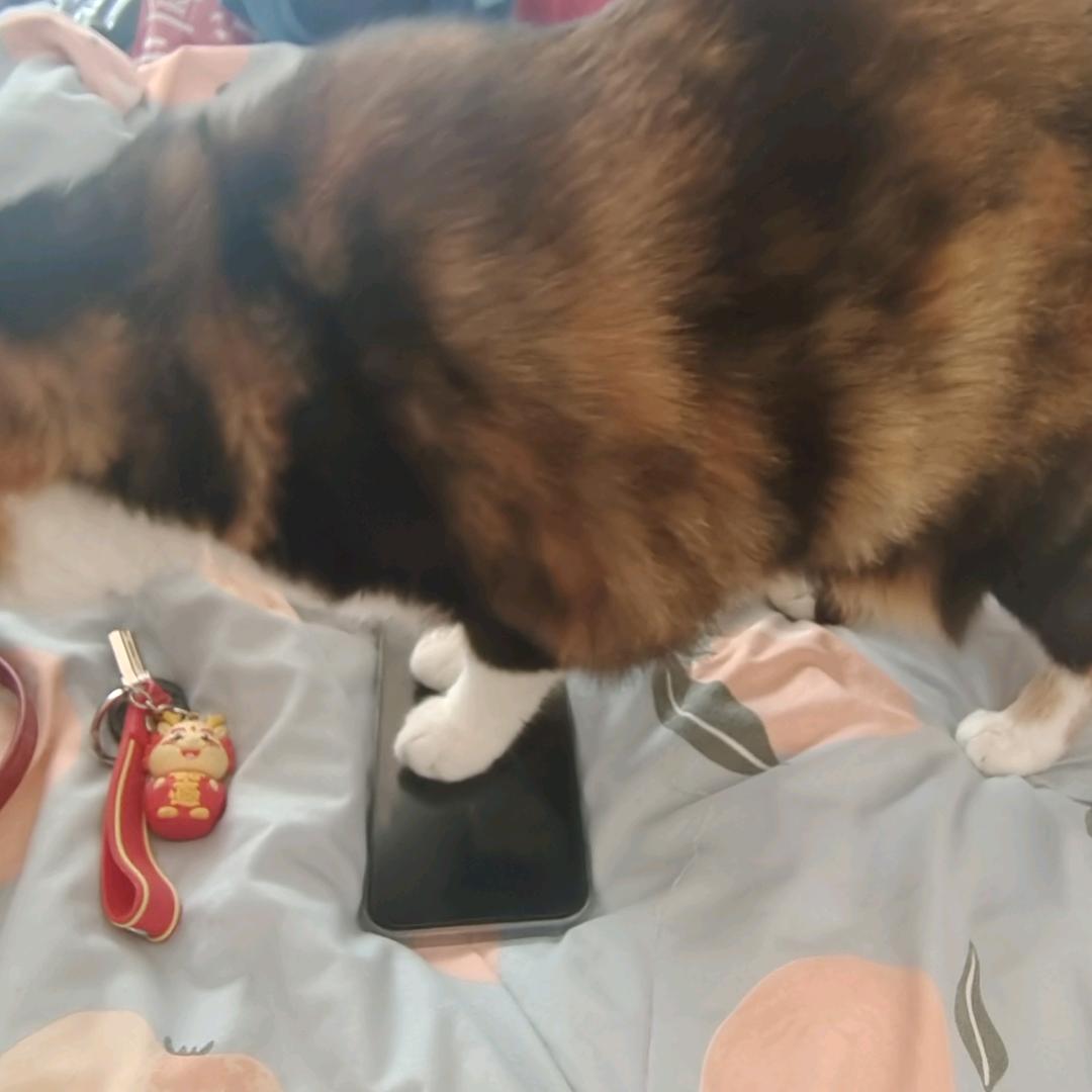 好了好了都好了