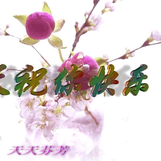 飞翔高空@周