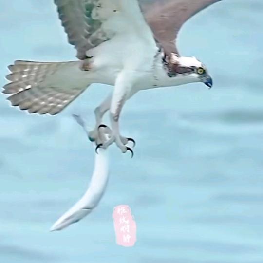 大家好
