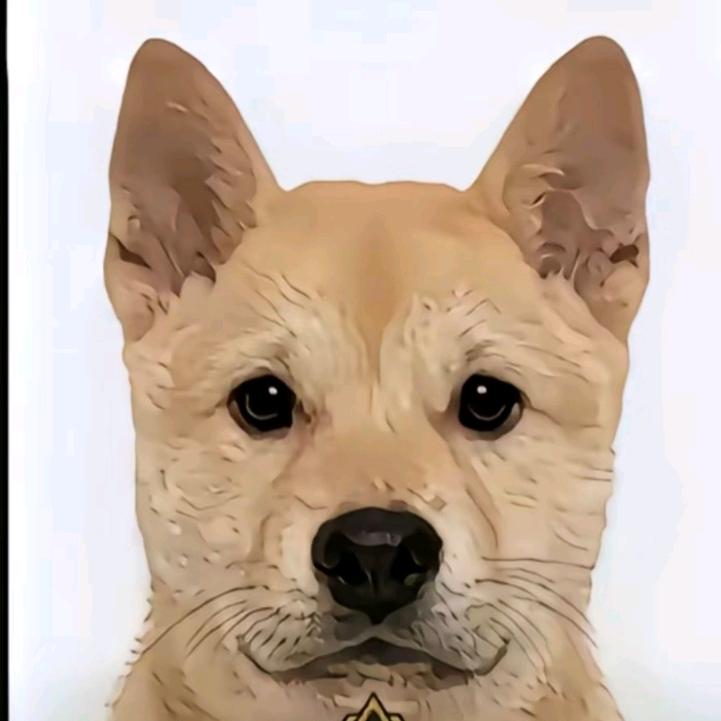 大狗嚼俱乐部店长